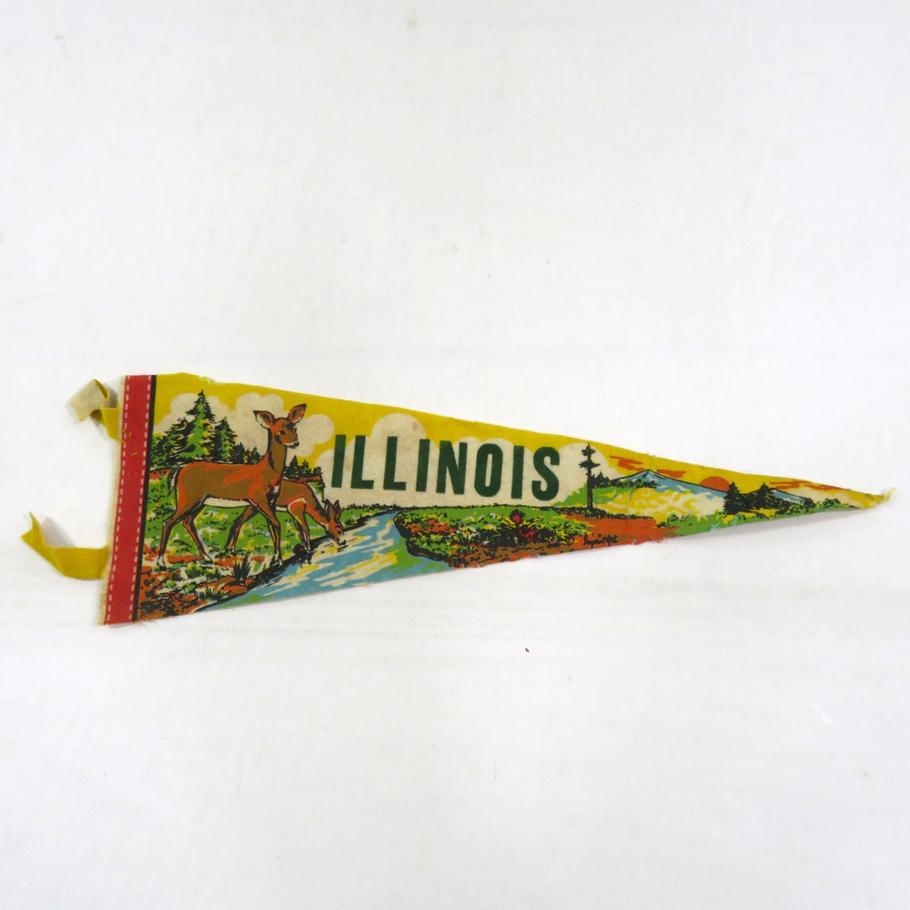 Illinois Deer Stream Colorful Graphic Yellow White Green Pennant 14x5